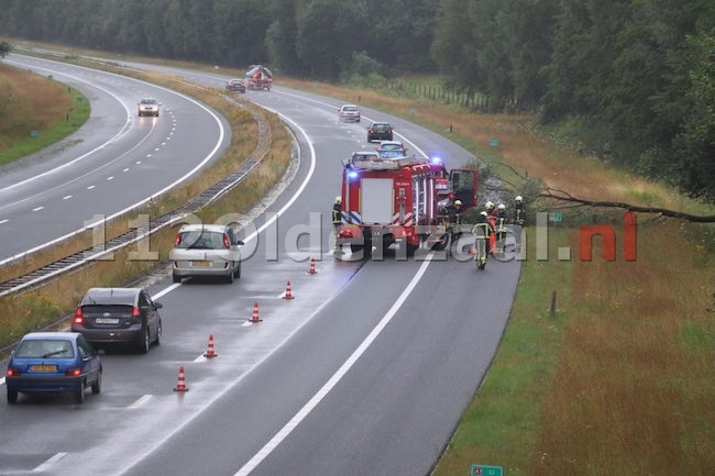 VIDEO: Boom valt op A1 bij De Lutte en zorgt voor een gevaarlijke situatie