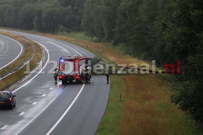 Boom valt op A1 bij De Lutte en zorgt voor een gevaarlijke situatie