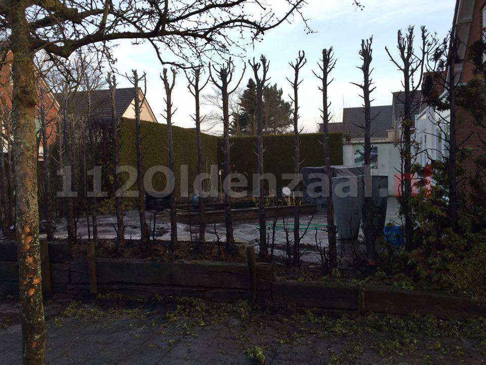 foto: Veel schade bij coniferenbrand Oldenzaal