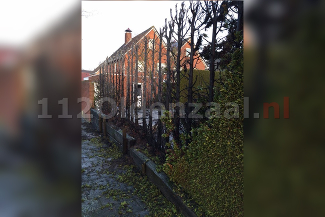foto 2: Veel schade bij coniferenbrand Oldenzaal