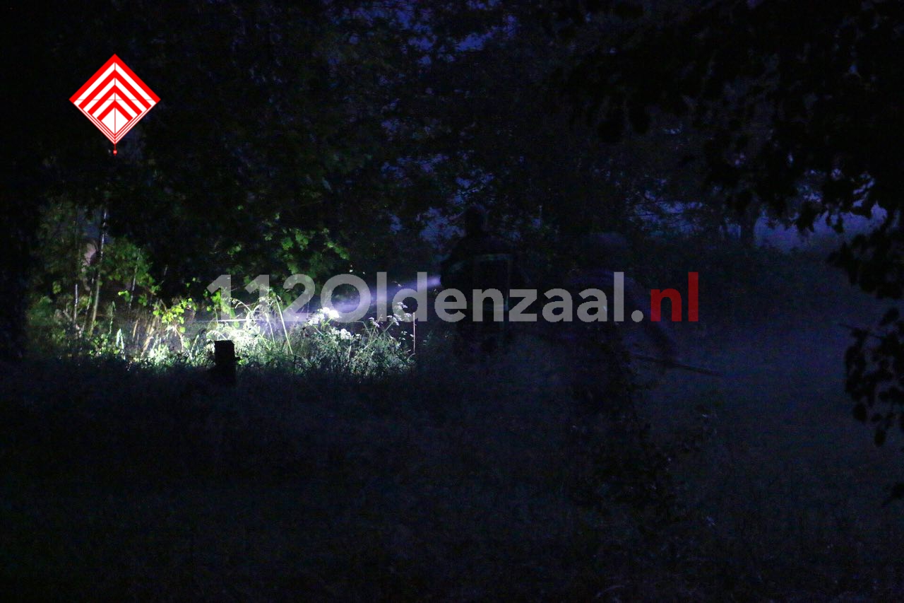 Foto 2: Stieren te water in buitengebied Lattrop; brandweer redt ze uit Dinkelkanaal