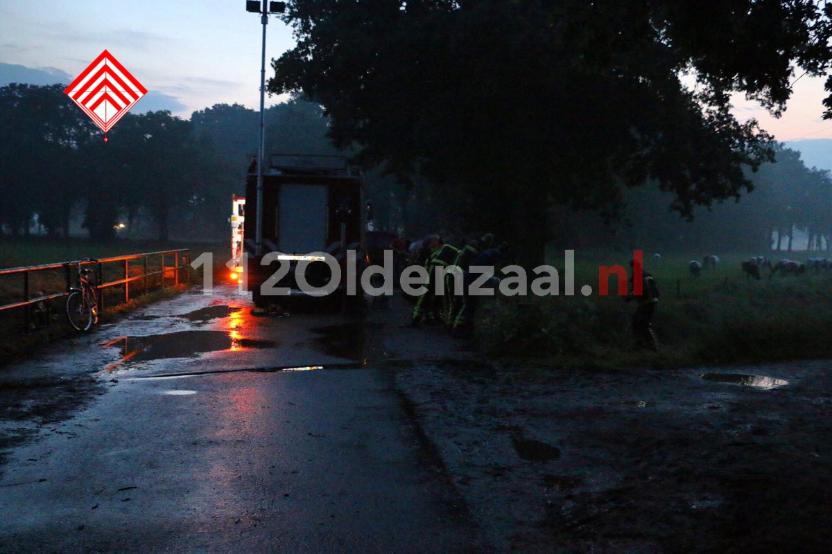 Foto: Stieren te water in buitengebied Lattrop; brandweer redt ze uit Dinkelkanaal