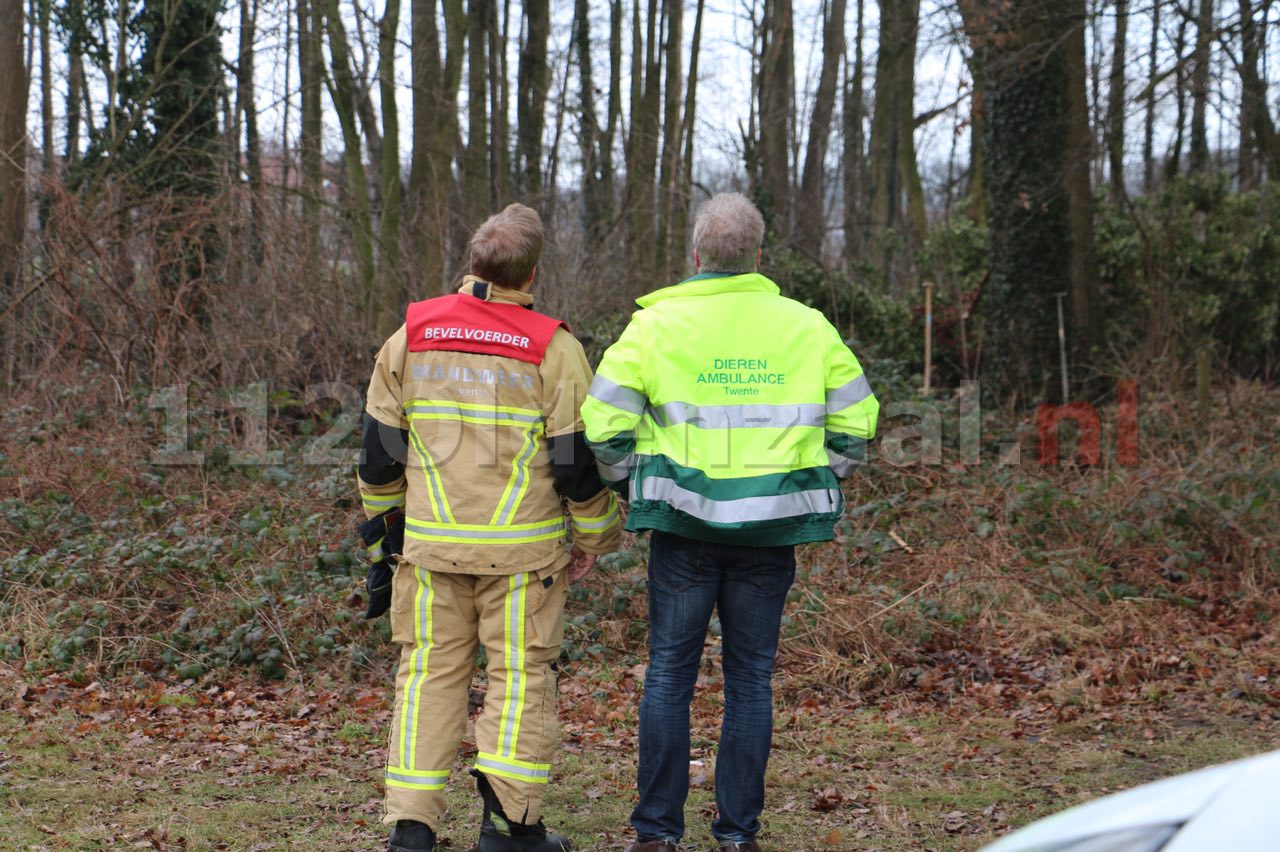 Foto 2: Poes kijkt van boven toe hoe hulpverleners haar zoeken onder de grond