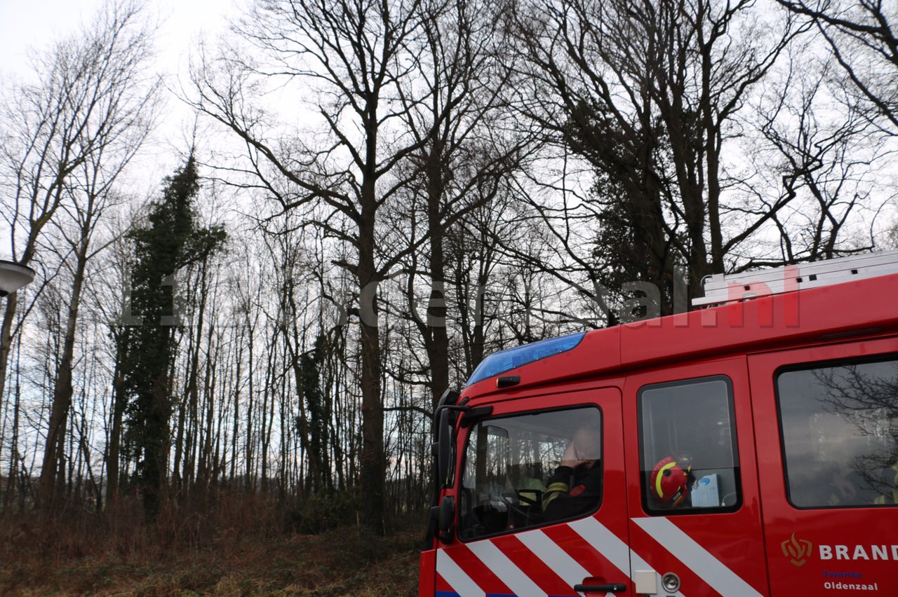 Video: Poes kijkt van boven toe hoe hulpverleners haar zoeken onder de grond