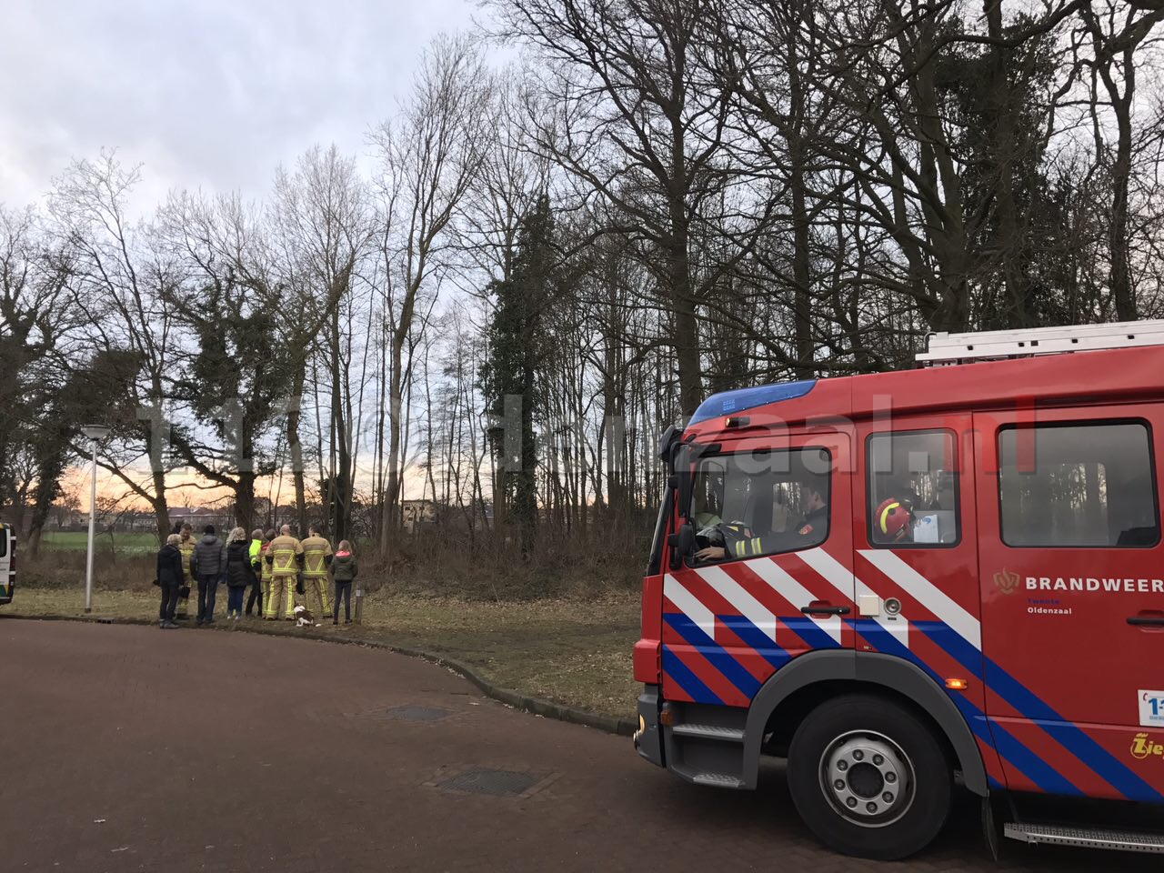 Foto: Brandweer rukt opnieuw uit voor poes in boom Oldenzaal