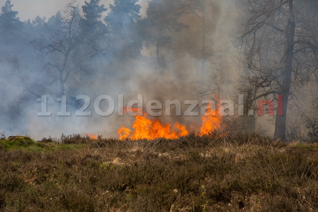 VIDEO: Grote brand in natuurgebied bij Beuningen onder controle