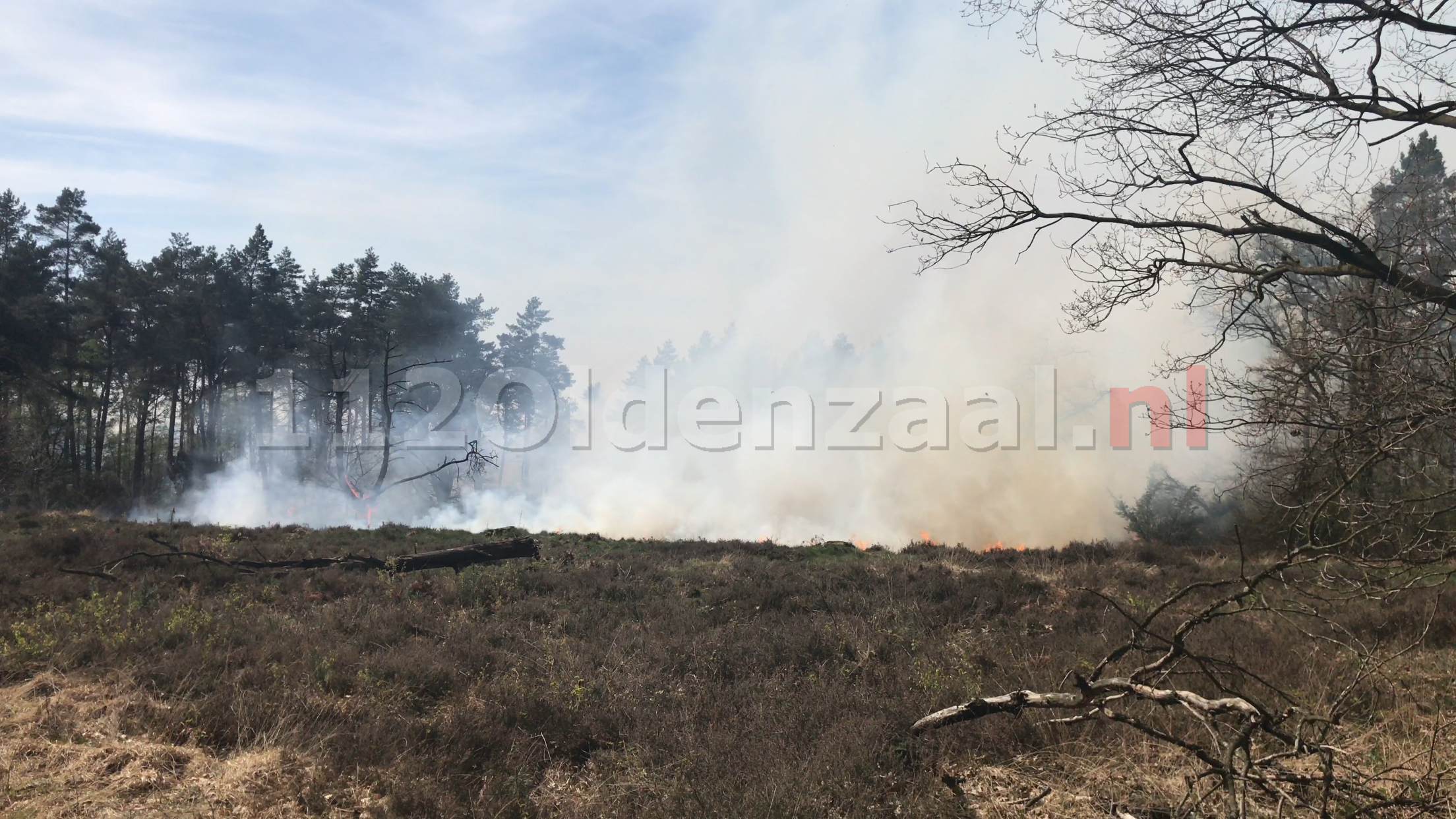 Foto: zeer grote natuurbrand in Beuningen