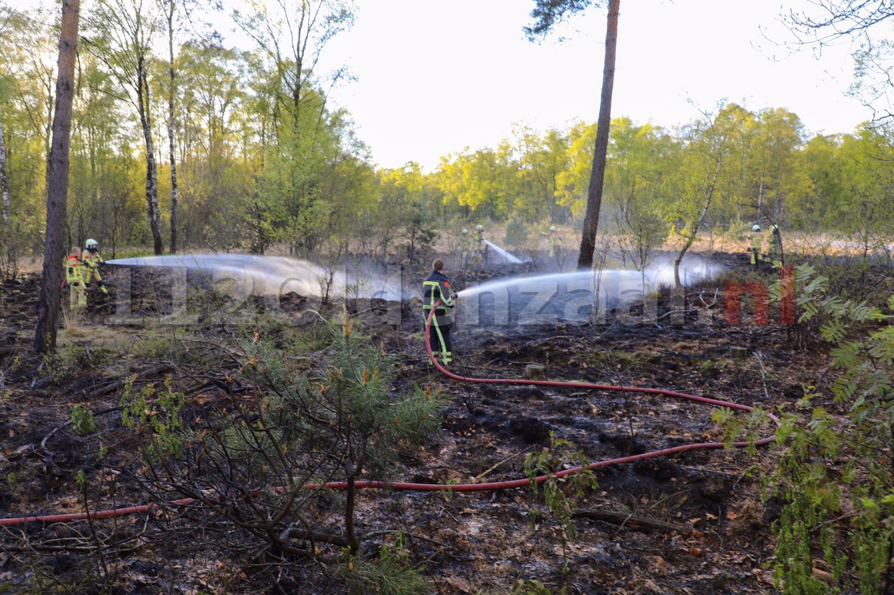 Foto 2: Opnieuw natuurbrand; politie doet onderzoek