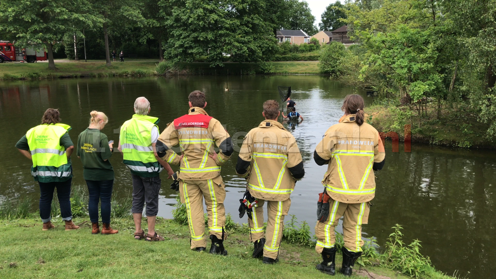 Brandweer Oldenzaal rukt uit voor gans in problemen 