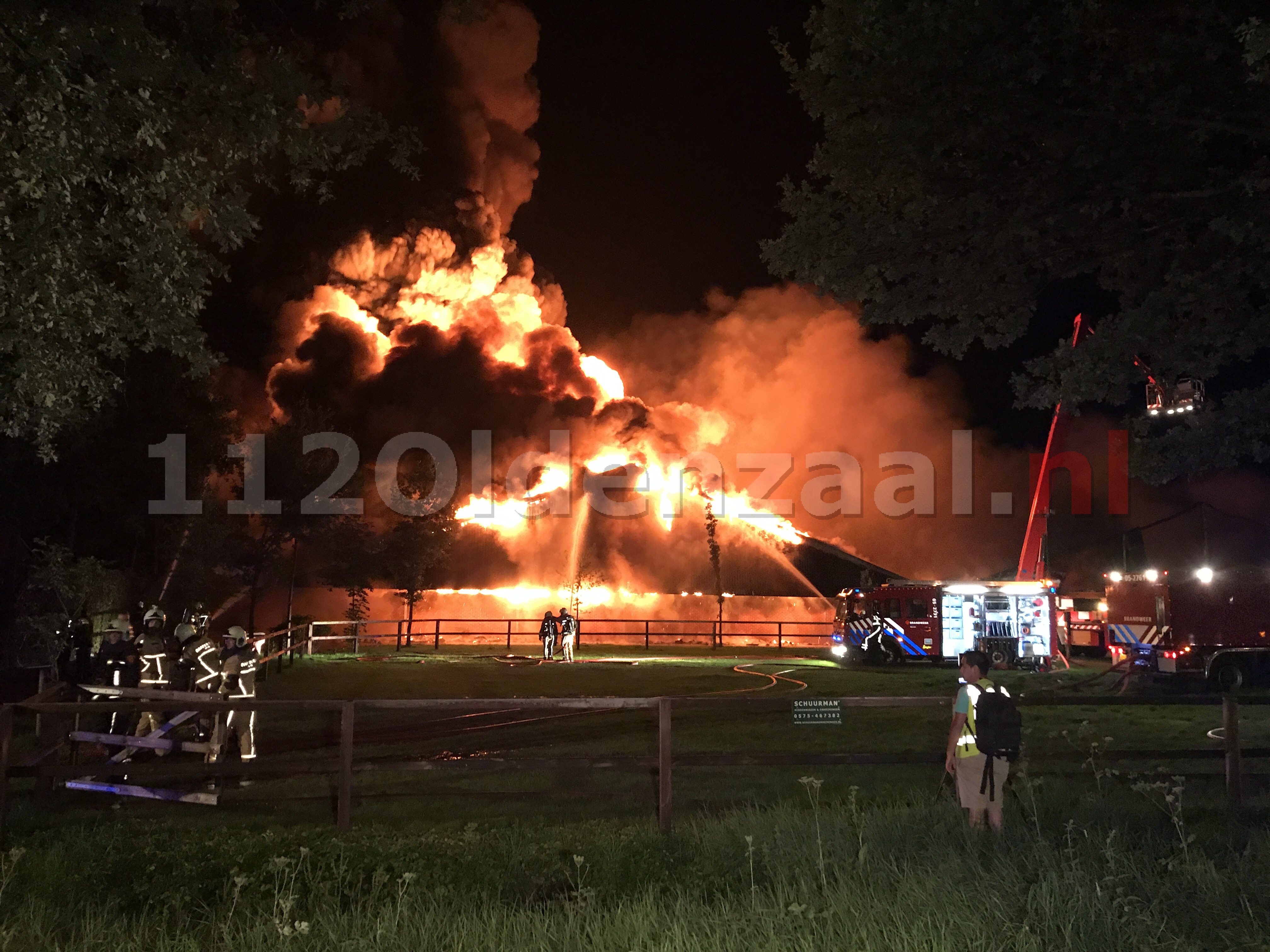 Foto 2: Biggen en varkens omgekomen bij zeer grote brand in twee varkensstallen in Agelo