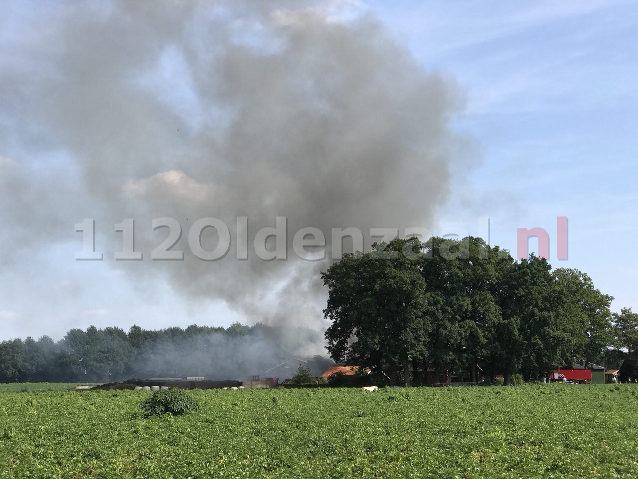 65 stieren komen om het leven bij brand in Rossum