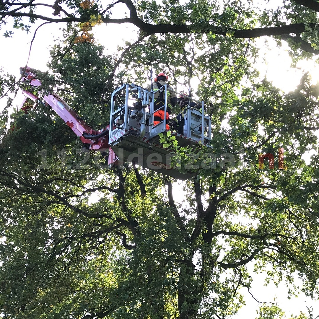 Video: Brandweer druk bezig tijdens storm