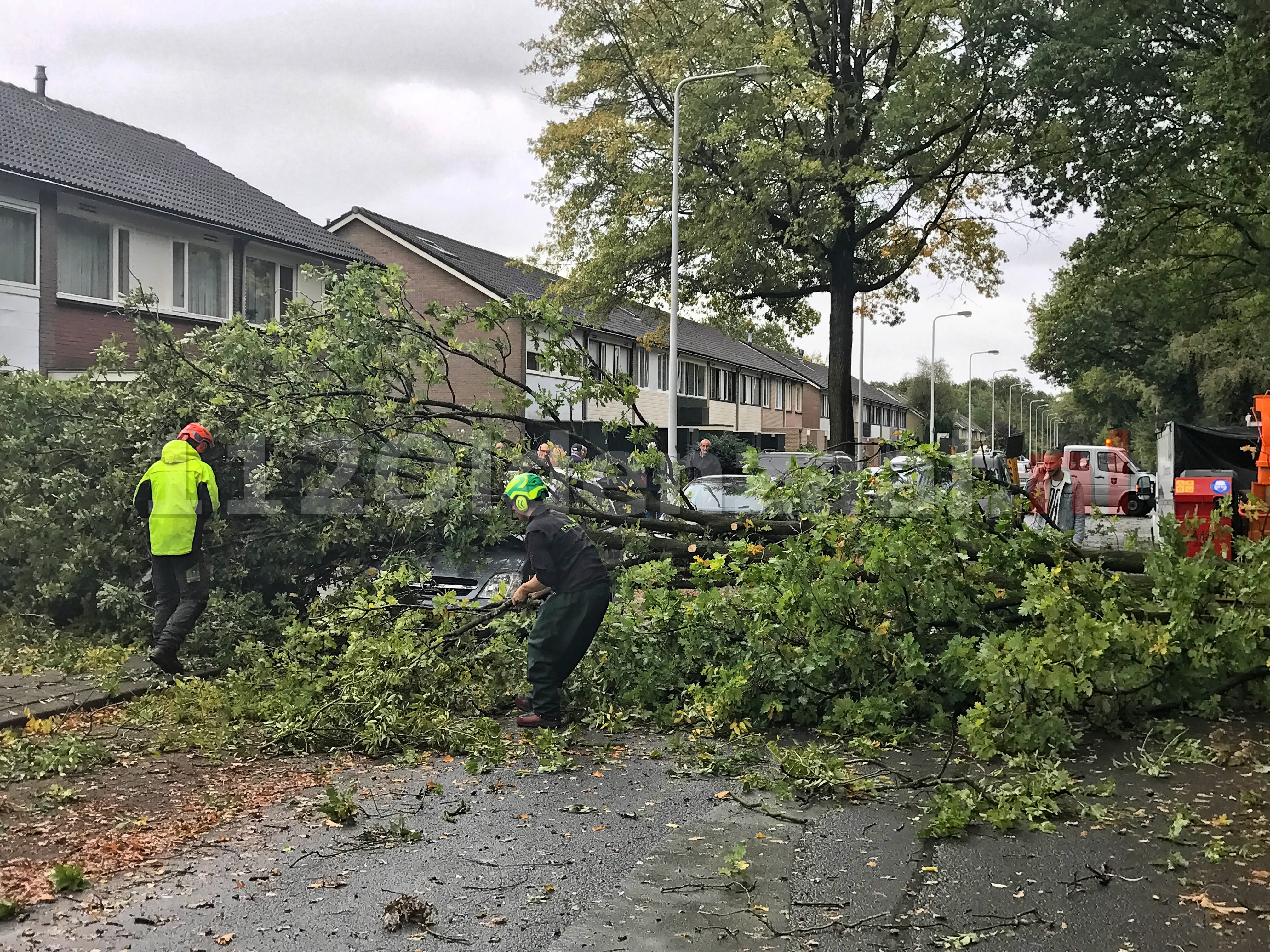 Foto 2: Boom valt op auto Cato Elderinklaan Oldenzaal