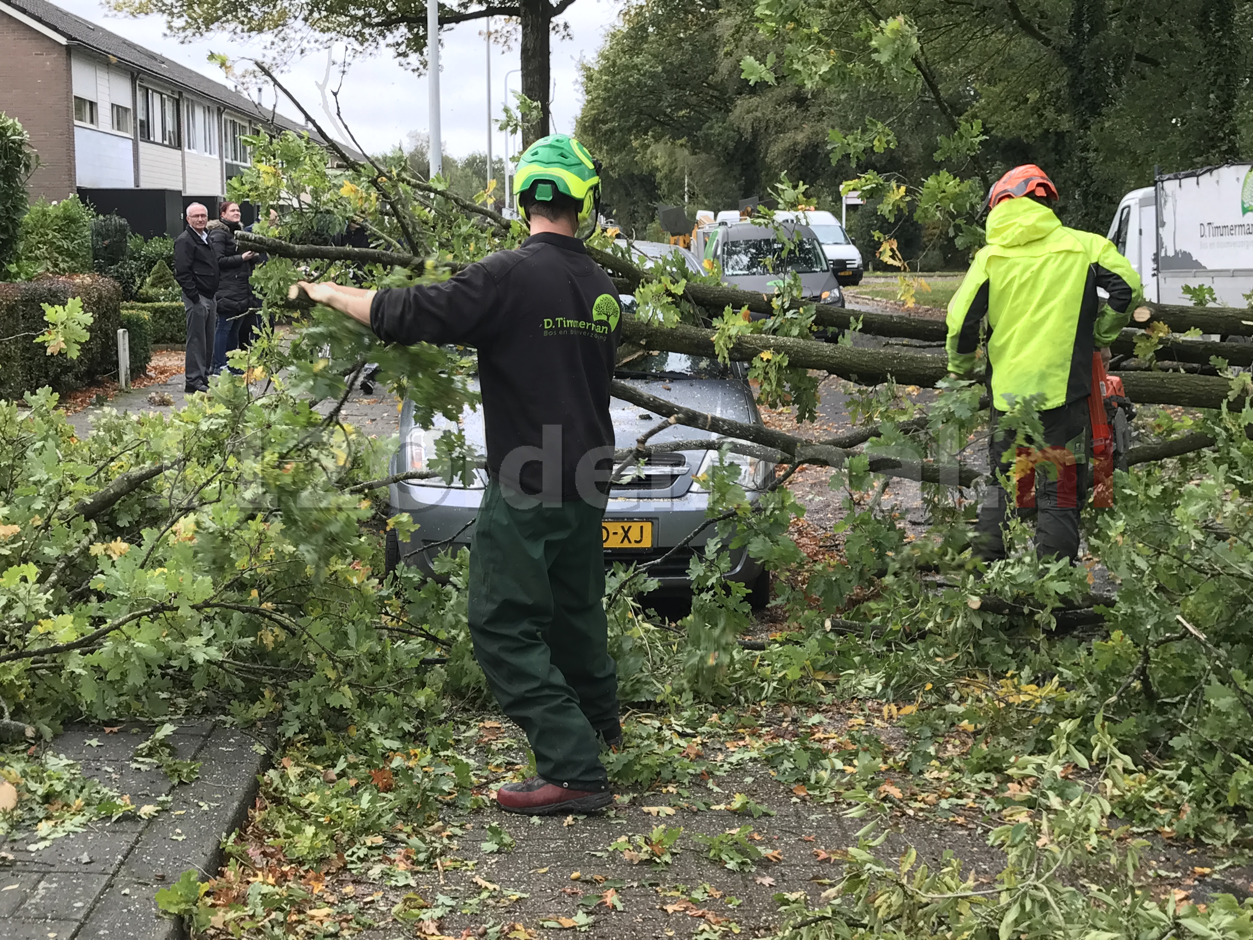 Video: Boom valt op auto Cato Elderinklaan Oldenzaal