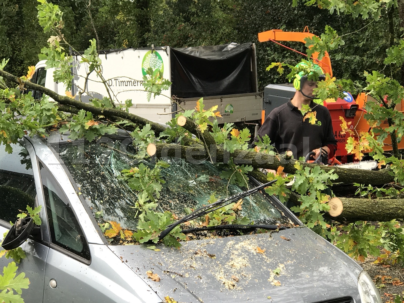 Boom valt op auto Cato Elderinklaan Oldenzaal