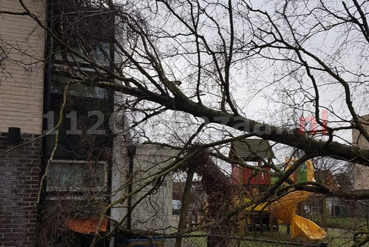 Foto 2: Boom valt op kinderdagverblijf in Oldenzaal