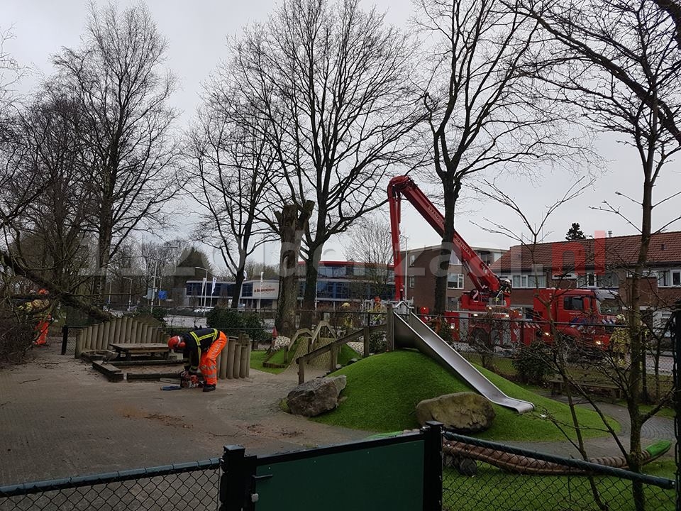 Boom valt op kinderdagverblijf in Oldenzaal