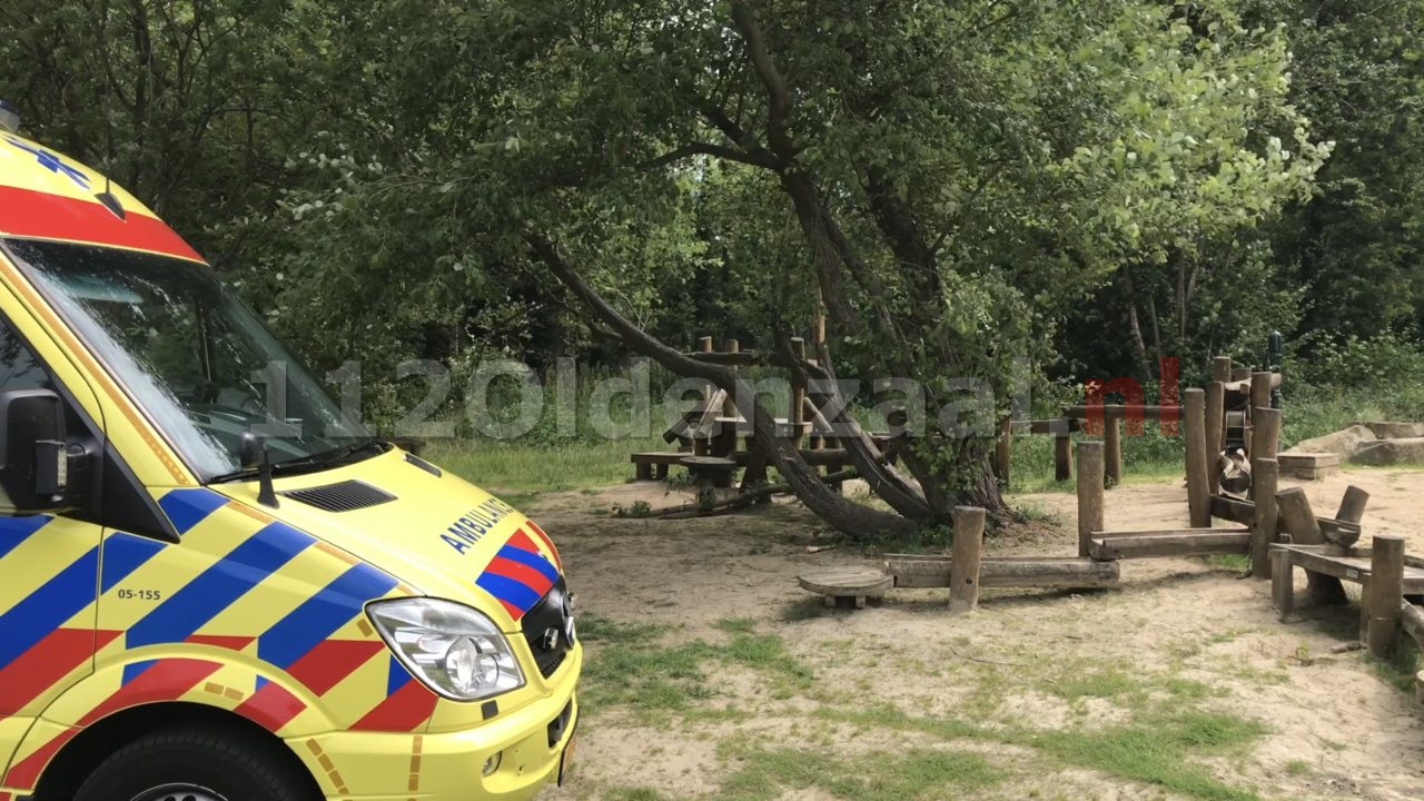 Video: Hulpdiensten rukken uit naar Hulsbeek Oldenzaal; kind uit boom gevallen