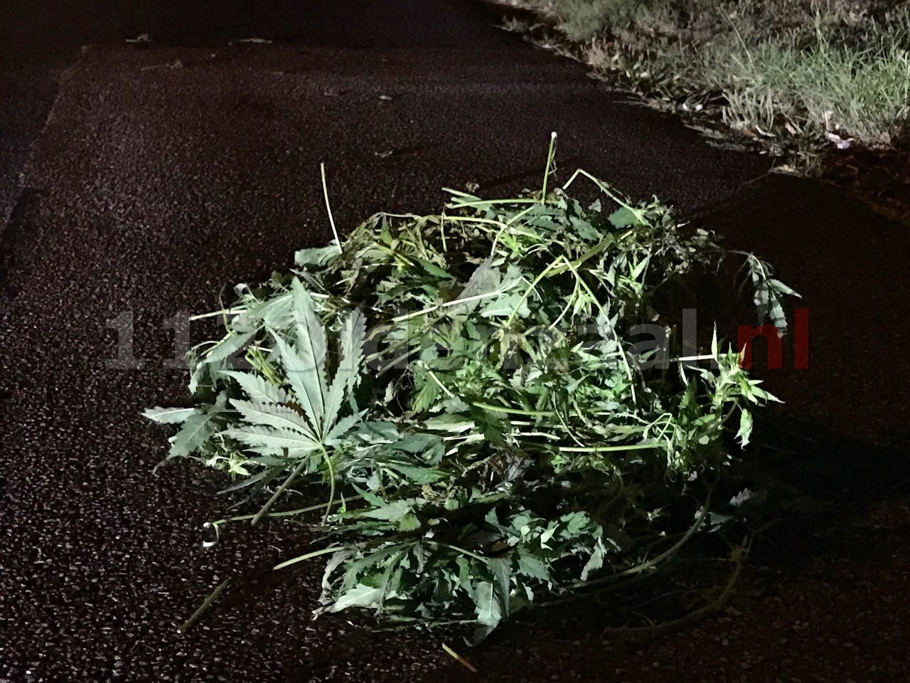 Forse hoeveelheid hennepafval gedumpt op Graveneslaan in Oldenzaal