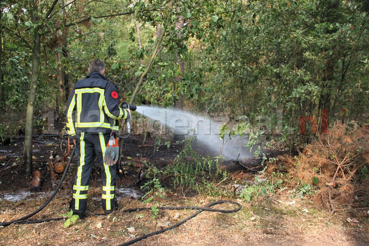 Brandweer rukt opnieuw uit voor brand in bos Het Hulsbeek Oldenzaal