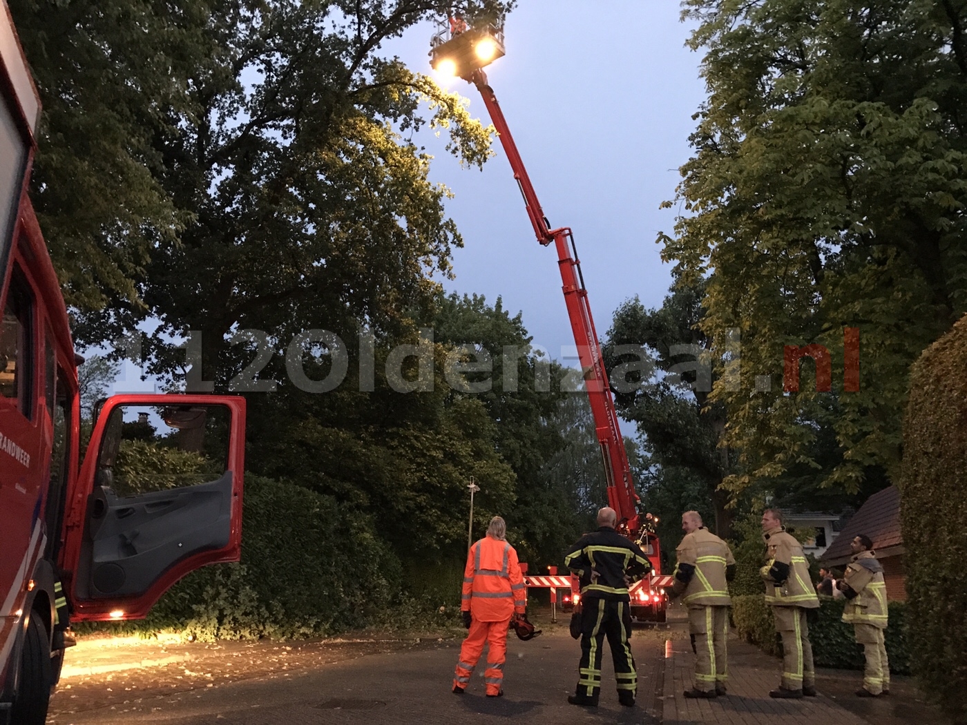 Tak knapt uit boom Oldenzaal