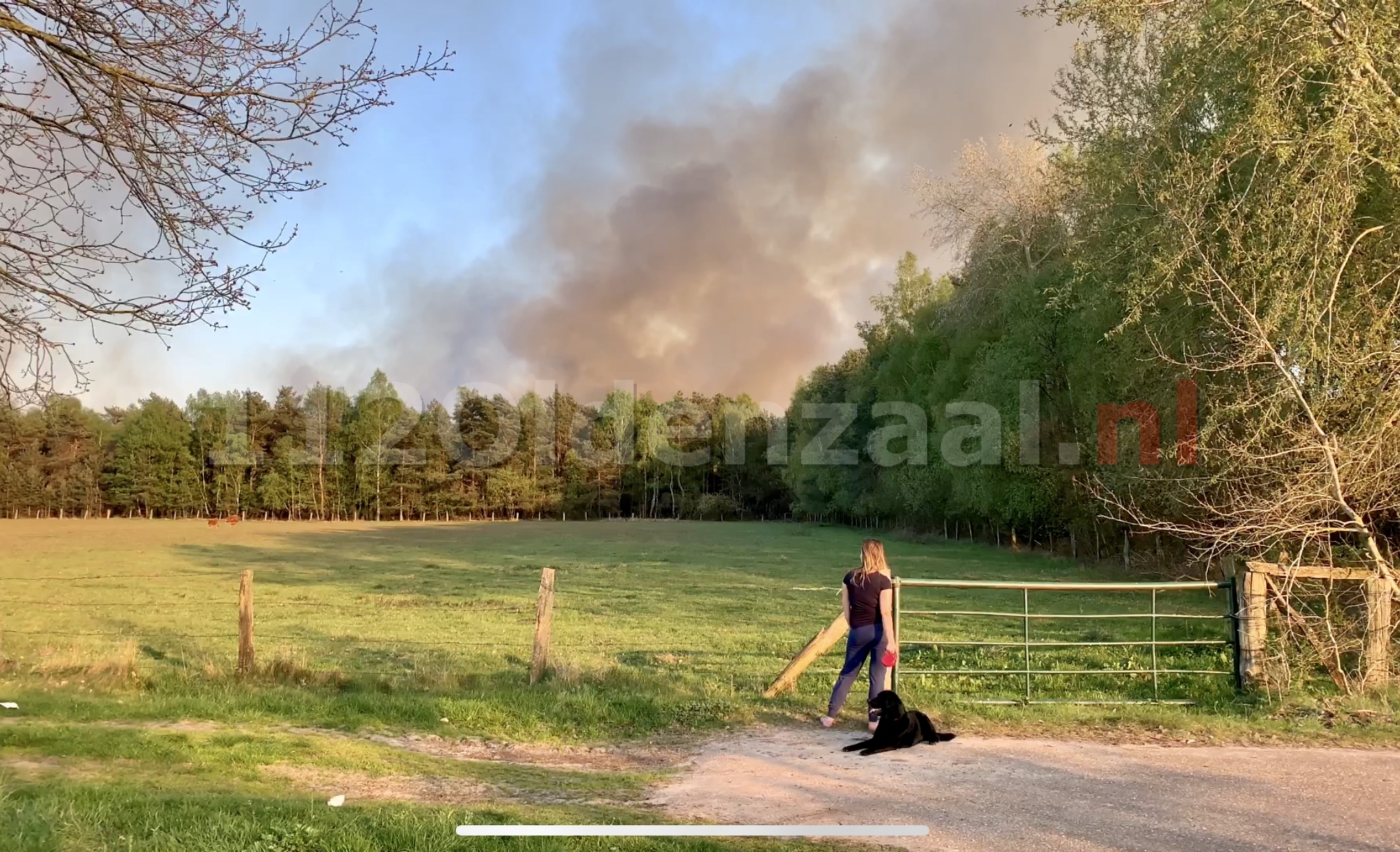 Grote rookontwikkeling bij grote veenbrand net over de grens in Duitsland