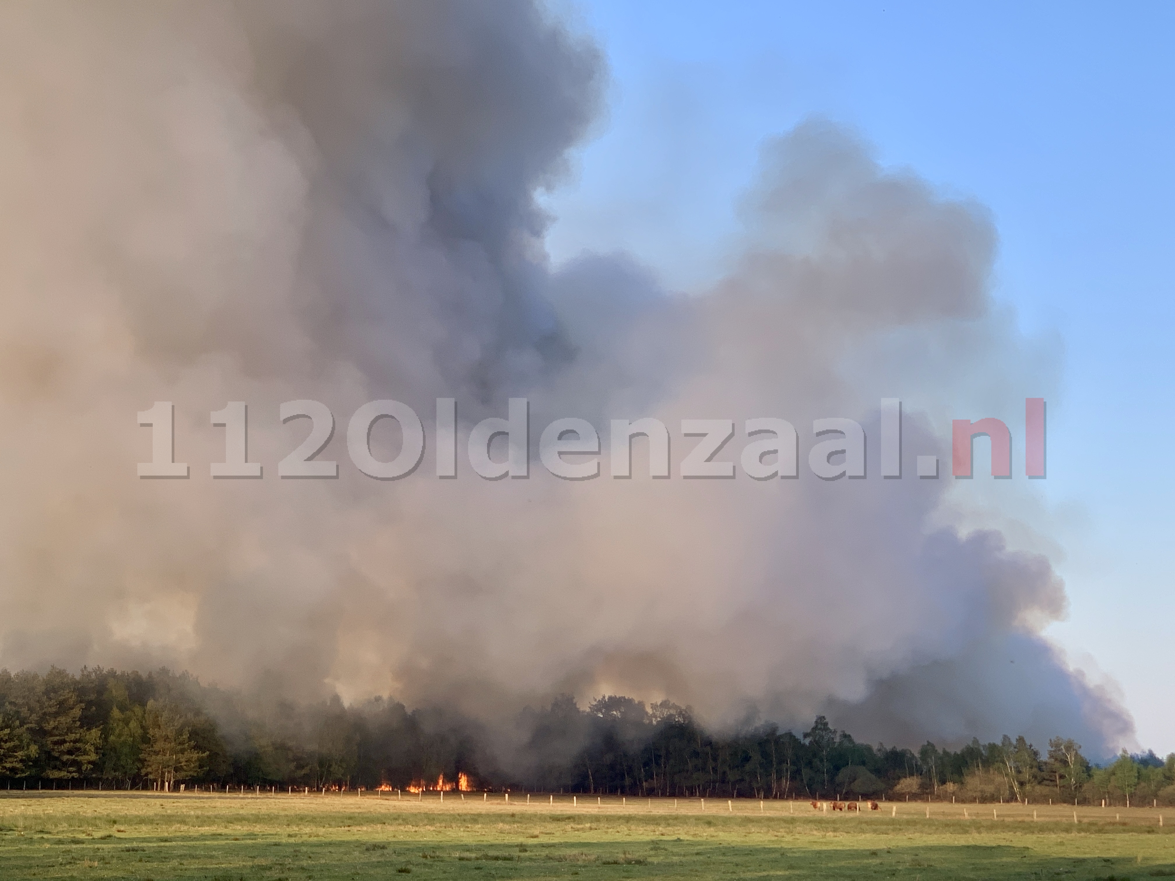 VIDEO: Grote rookontwikkeling bij grote veenbrand net over de grens in Duitsland