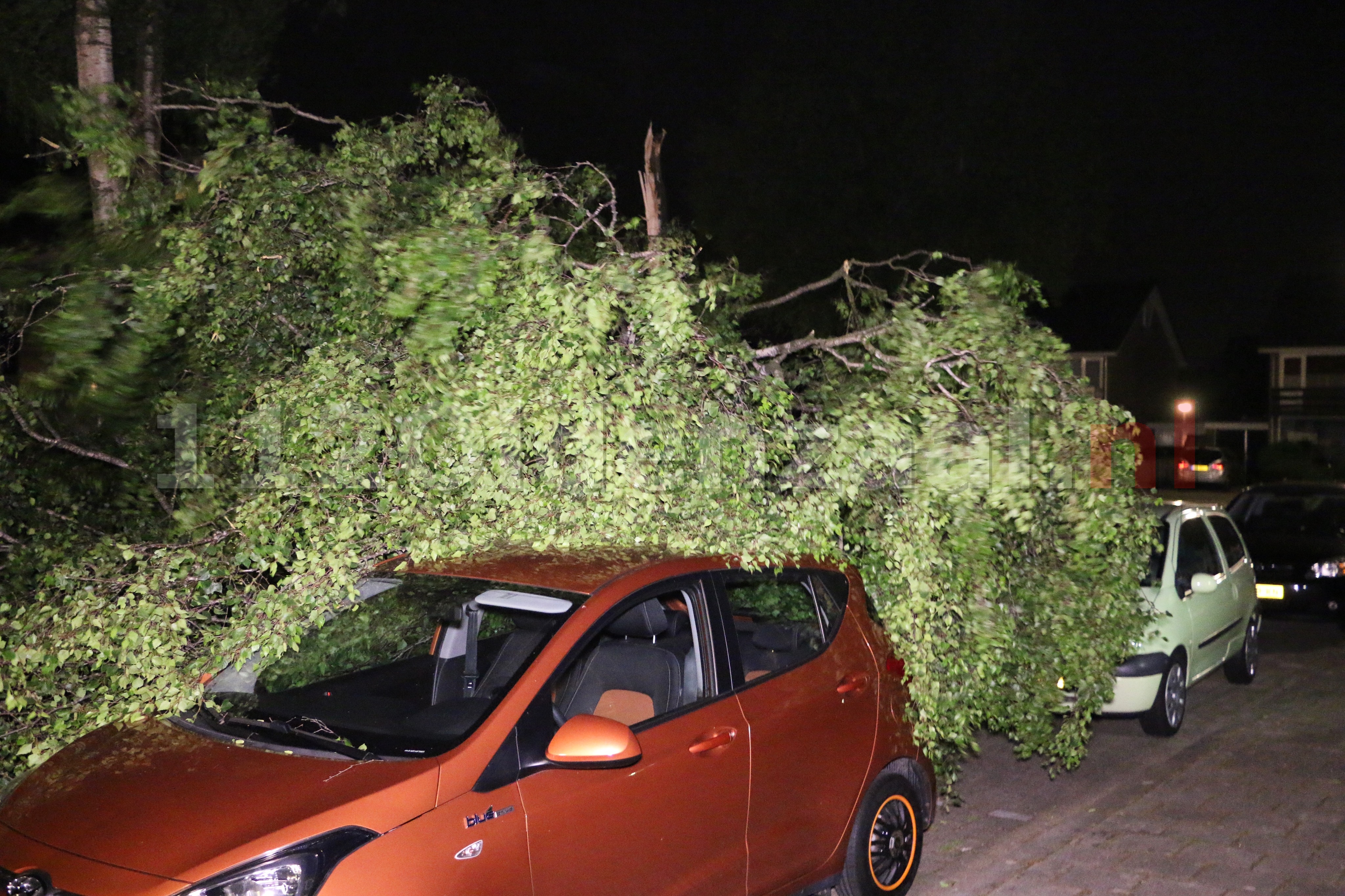 Boom knakt doormidden en belandt op auto in Oldenzaal