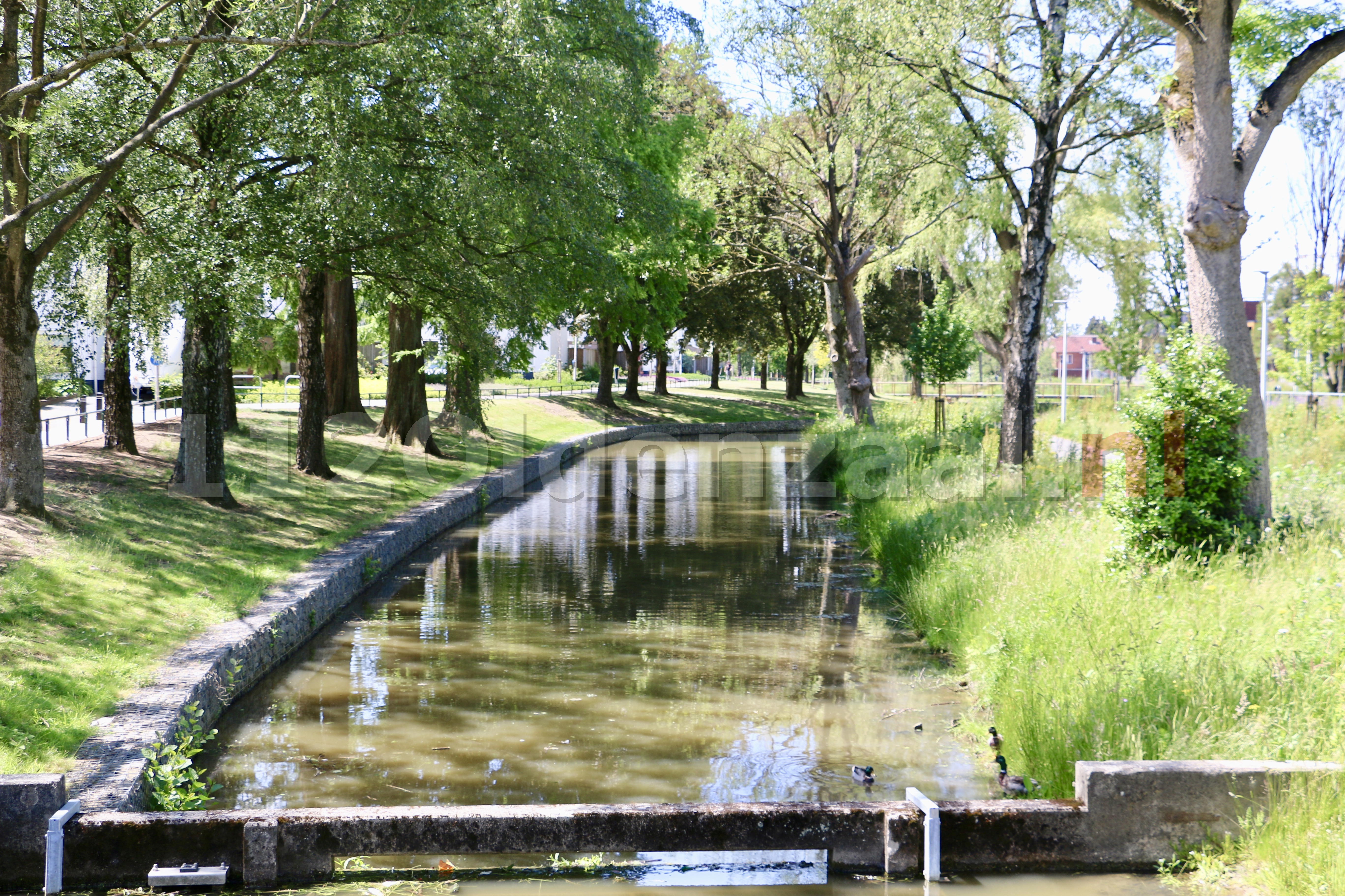 Waterschap: “Zwem alleen in officieel zwemwater”