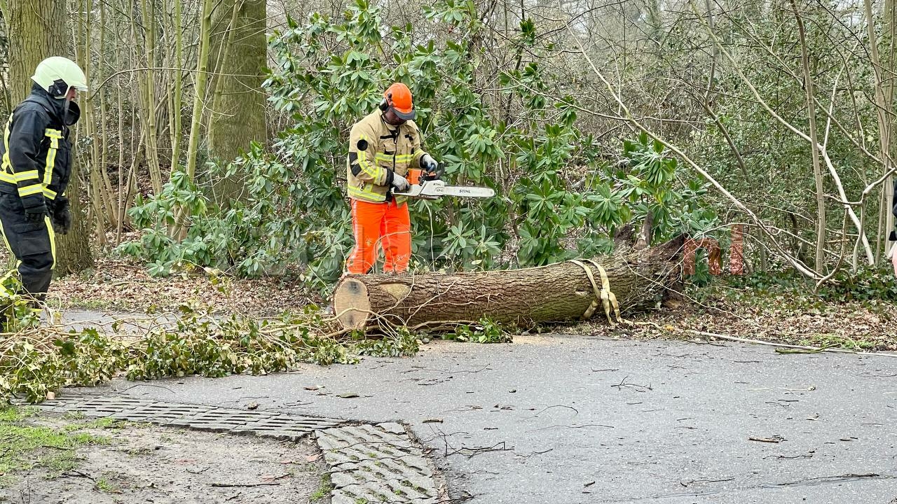 UPDATE: Veel meldingen van stormschades