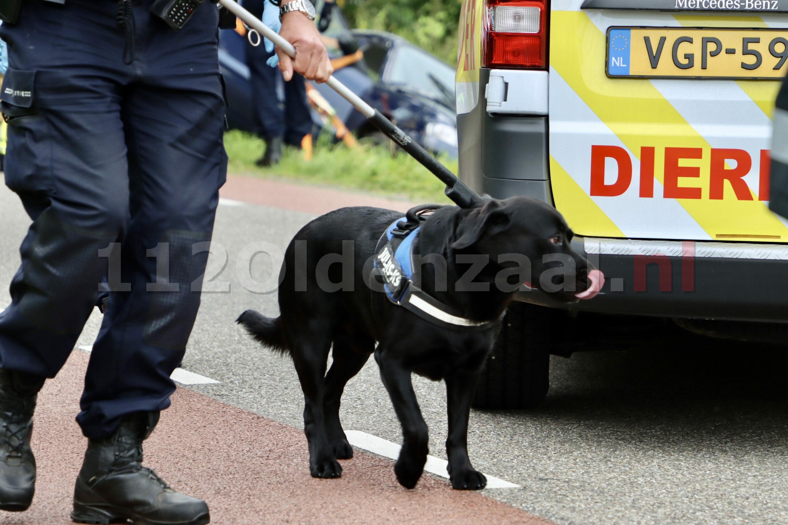 VIDEO: Ernstig ongeval in De Lutte; hond wijkt niet van de zijde van baasje