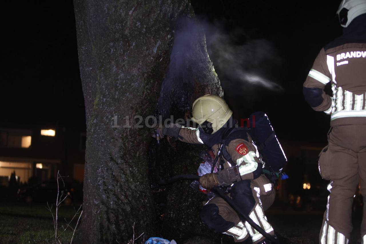 Vuurwerk zorgt voor brandje in boom Oldenzaal